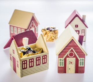 Paul Winch-Furness / Photographer