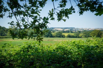 Middle-Piccadilly-view