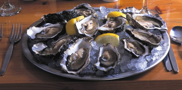 Oysters