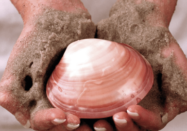 Screen Shot 2014-11-17 at 19.48.01