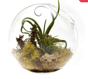 Screen Shot 2015-08-18 at 9.30.28 PM