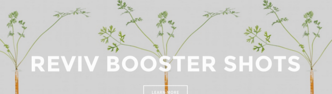 Screen Shot 2015-09-02 at 7.36.09 PM