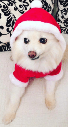 Screenshot 2015-11-23 09.16.27