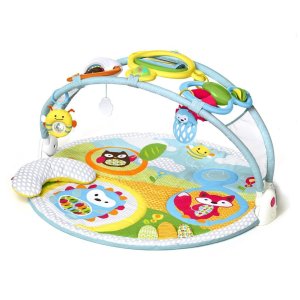 skiphop-explore-more-amazin-arch-baby-activity-gym